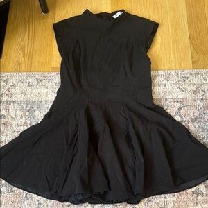 Adorable Zara fit and flare dress